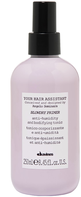 Blowdry Primer Your Hair Assistant